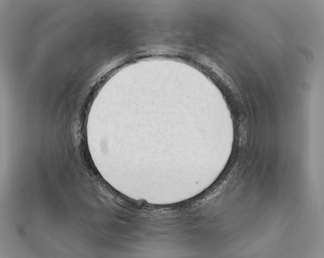 X0000111611213200908281043