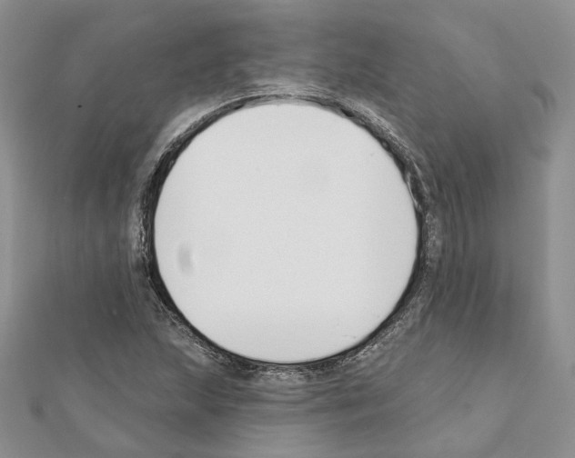 X0000111611215200908281043