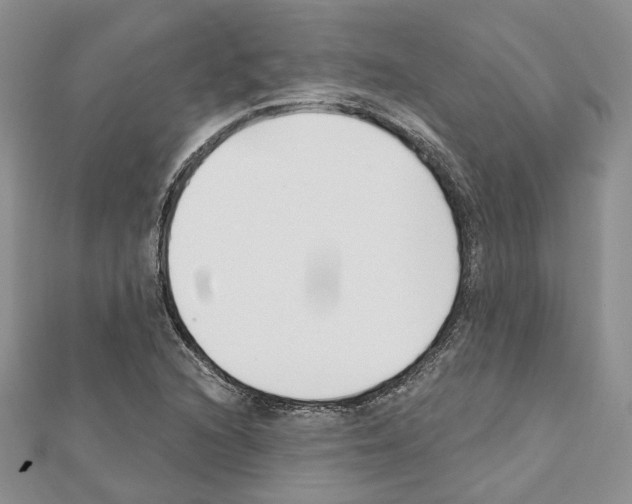 X0000111611216200908281043