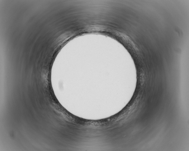 X0000111611217200908281043