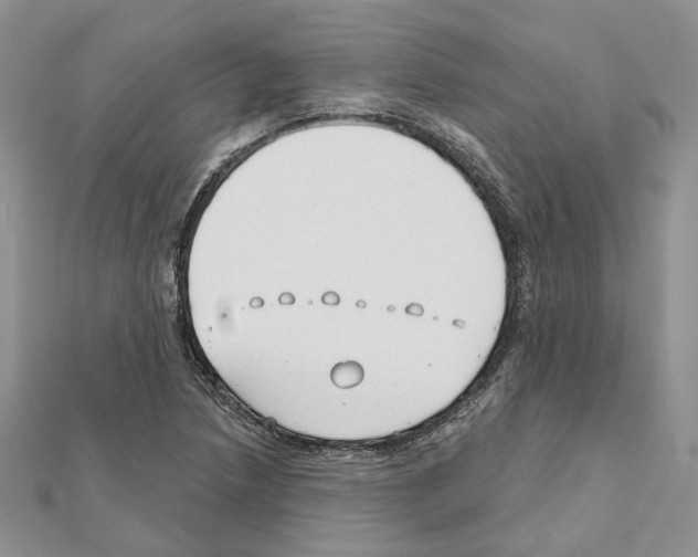X0000111611218200908281043