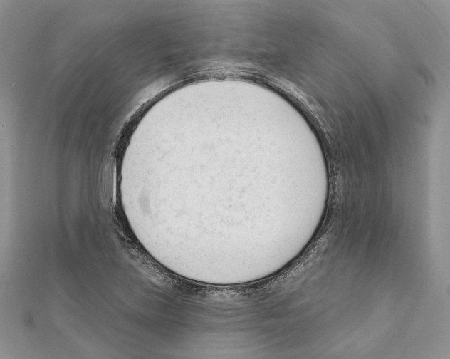 X0000111611219200908281043