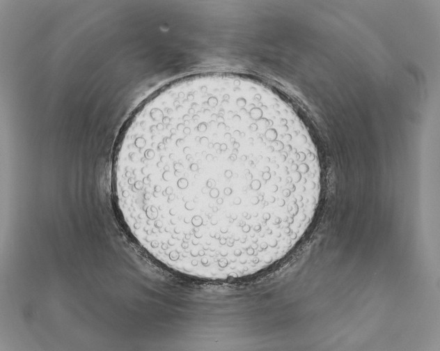 X0000111611220200908281043