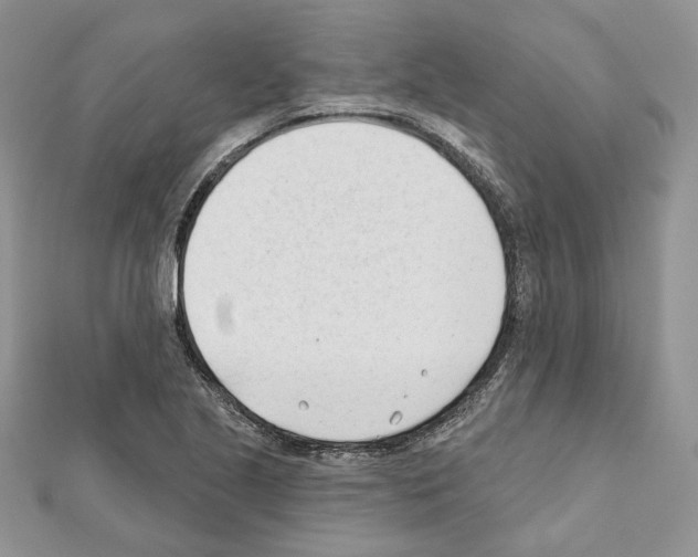 X0000111611221200908281043