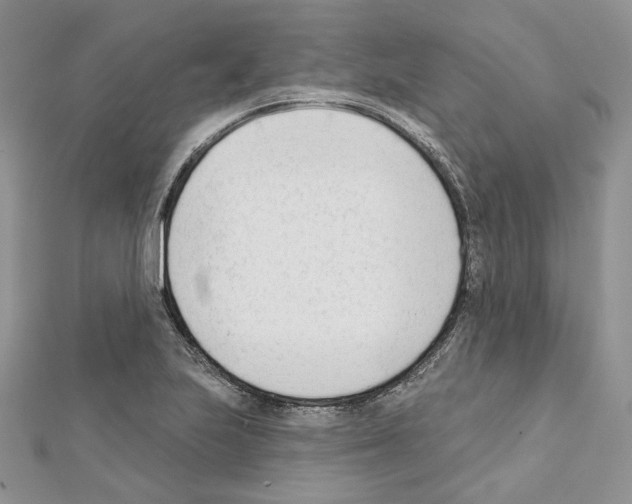 X0000111611223200908281043