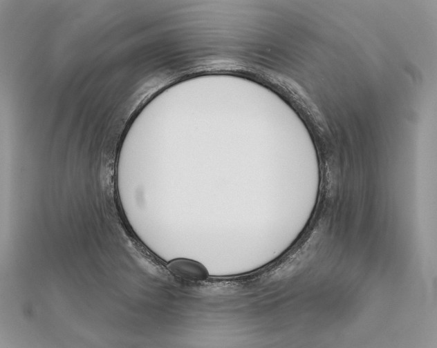 X0000111611225200908281043