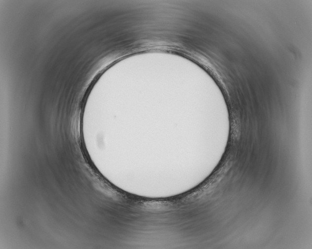 X0000111611227200908281043