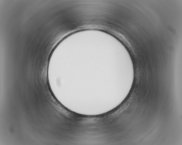 X0000111611228200908281043