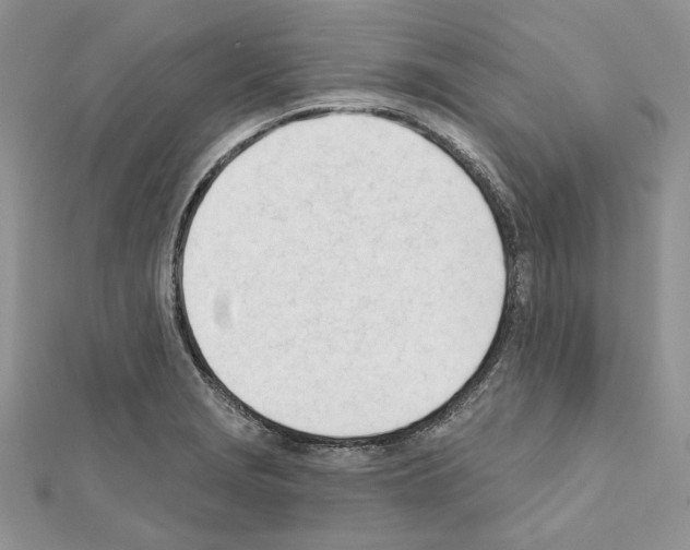 X0000111611229200908281043