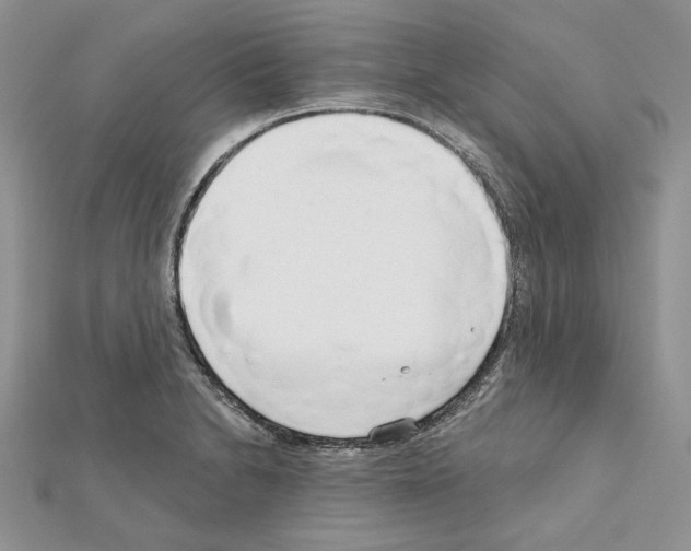 X0000111611230200908281043