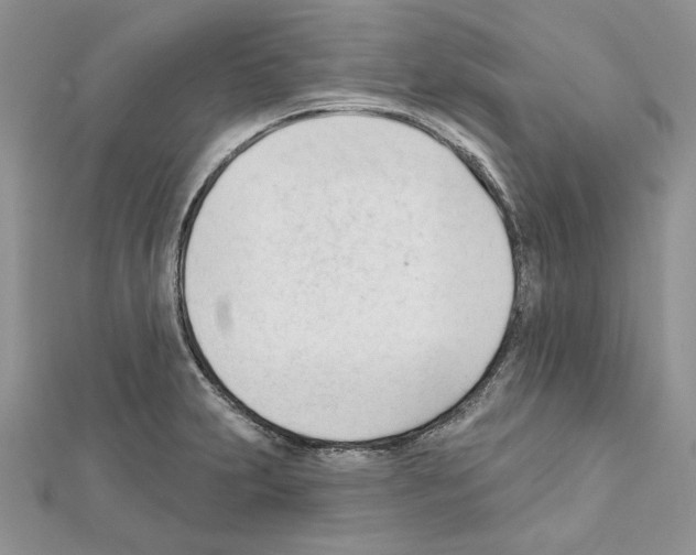 X0000111611231200908281043