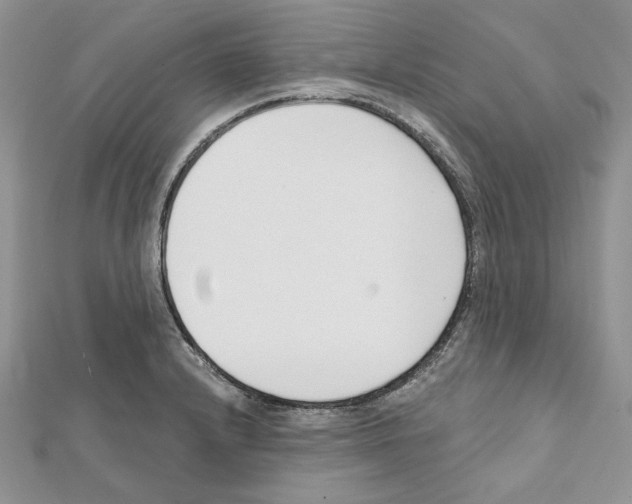 X0000111611232200908281043