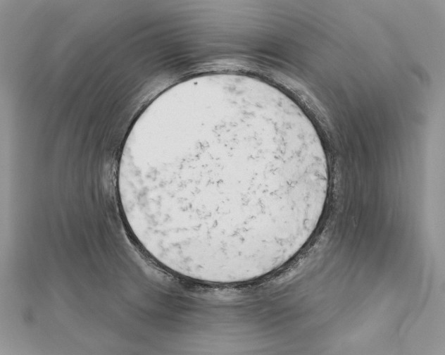 X0000111611233200908281043