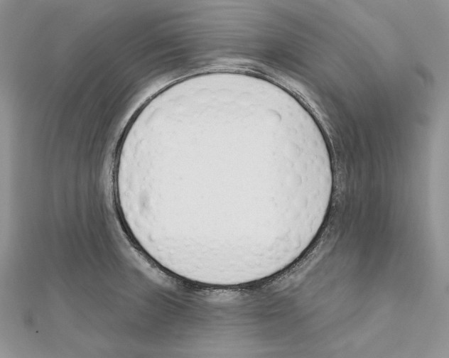 X0000111611235200908281043