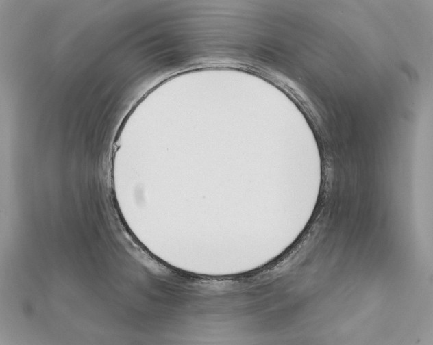 X0000111611236200908281043