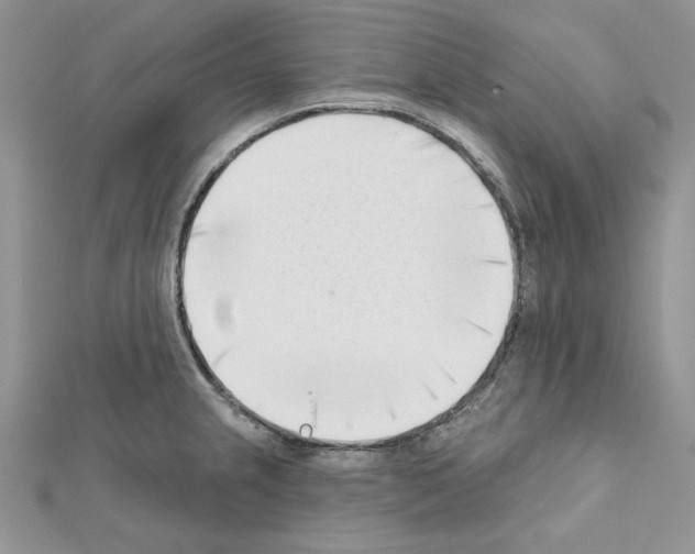 X0000111611237200908281043