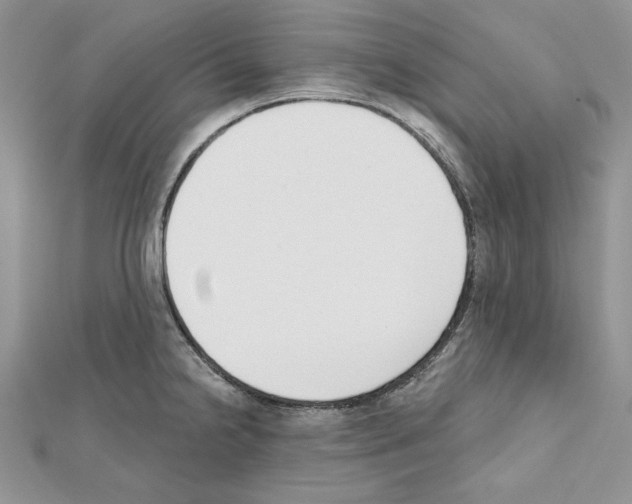 X0000111611238200908281043
