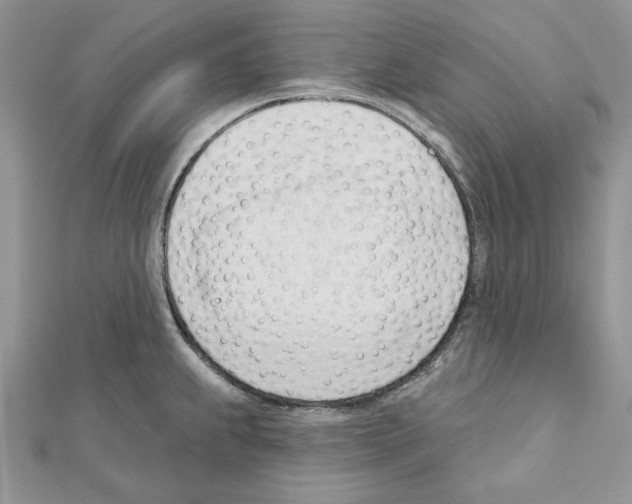 X0000111611239200908281043