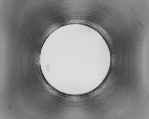 X0000111611241200908281043