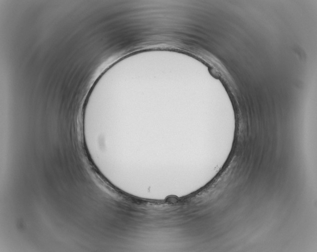 X0000111611242200908281043