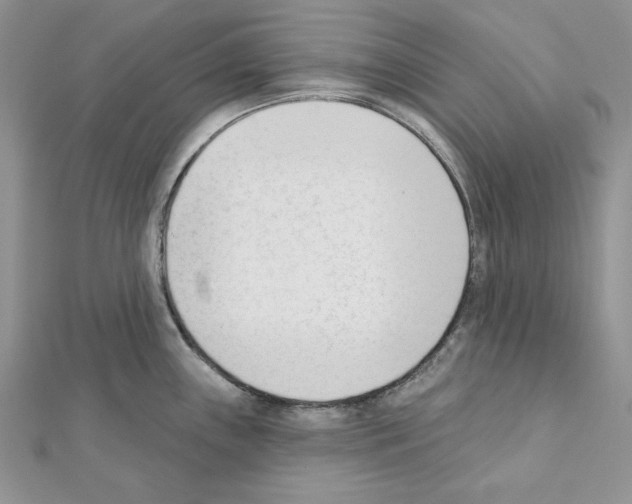 X0000111611243200908281043