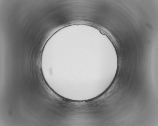 X0000111611244200908281044