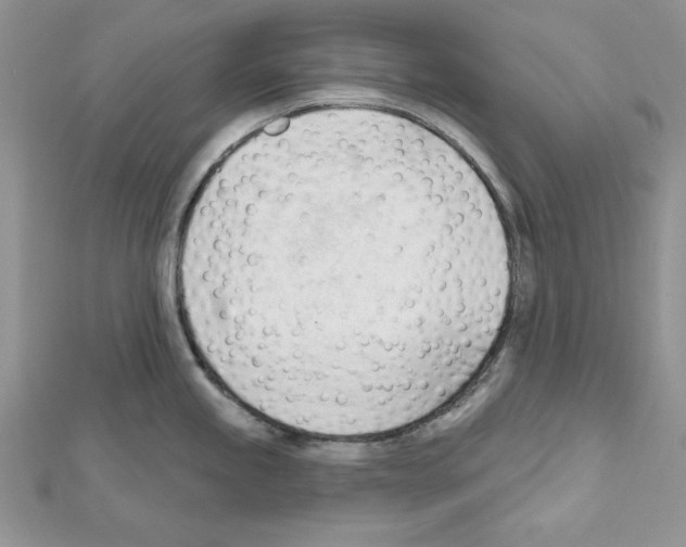 X0000111611245200908281044