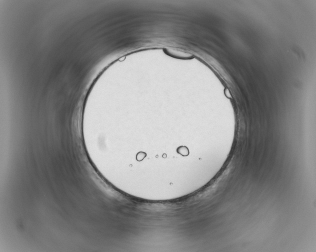 X0000111611246200908281044