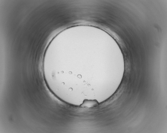 X0000111611247200908281044