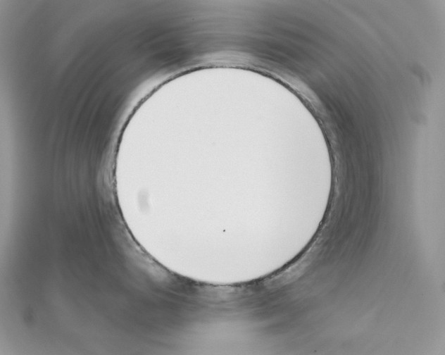 X0000111611248200908281044