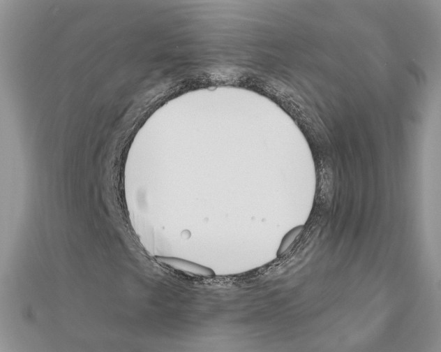 X0000111611249200908281043