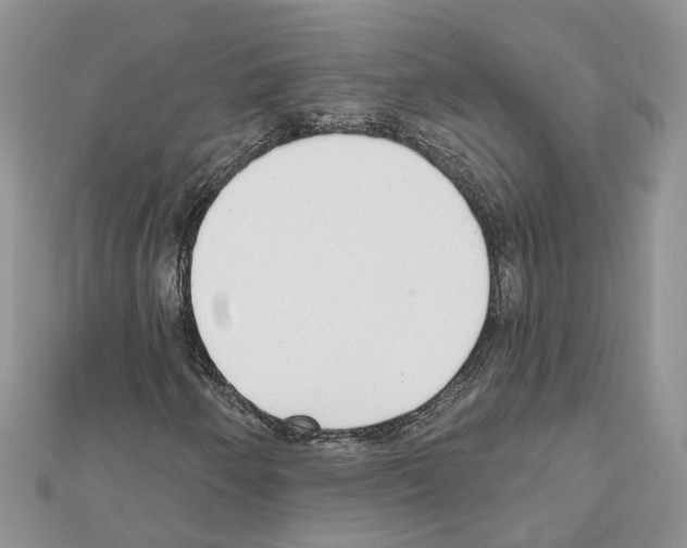 X0000111611250200908281043