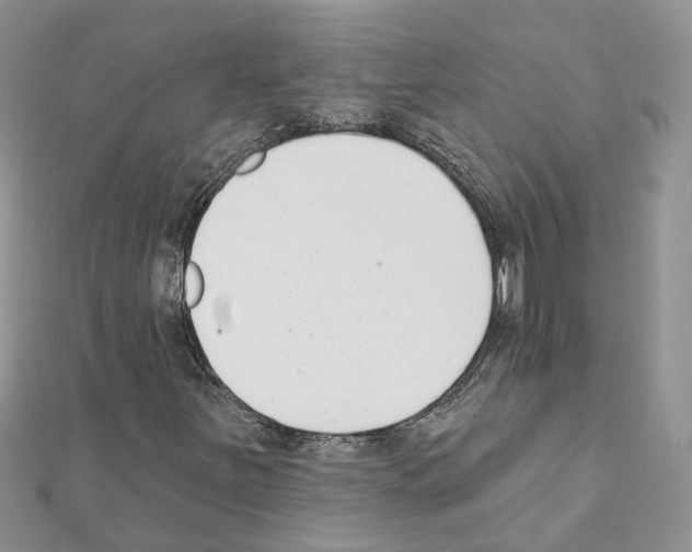 X0000111611251200908281043