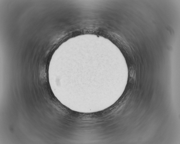 X0000111611252200908281043