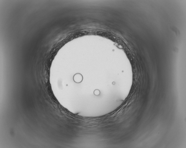 X0000111611253200908281043