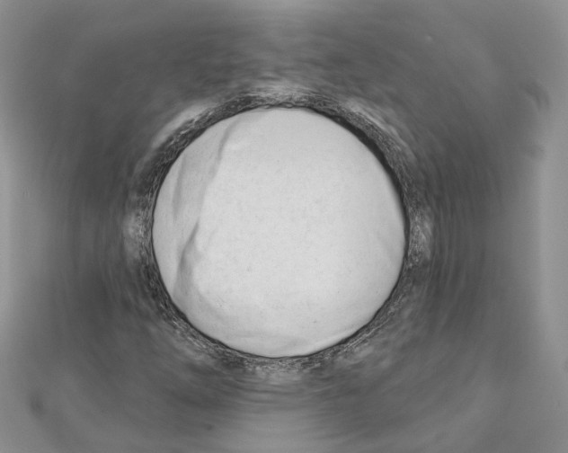 X0000111611254200908281043