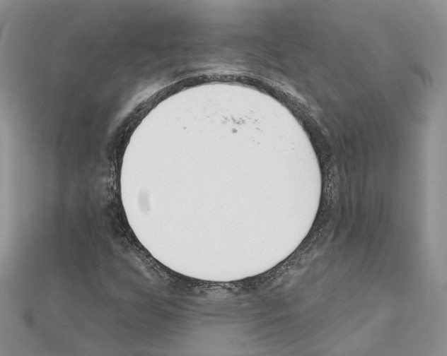 X0000111611255200908281043