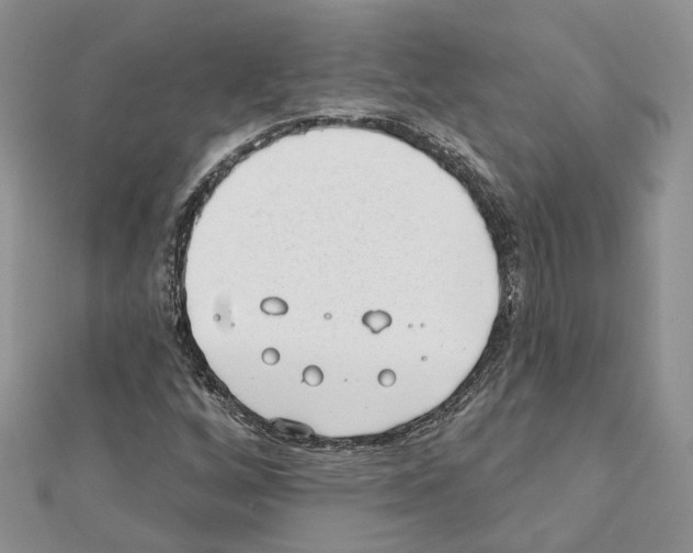 X0000111611256200908281043