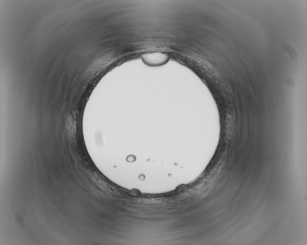 X0000111611257200908281043