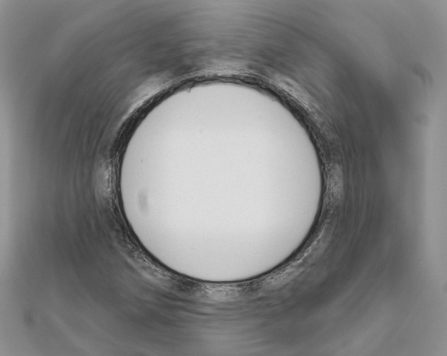 X0000111611258200908281043