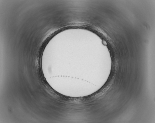 X0000111611259200908281043