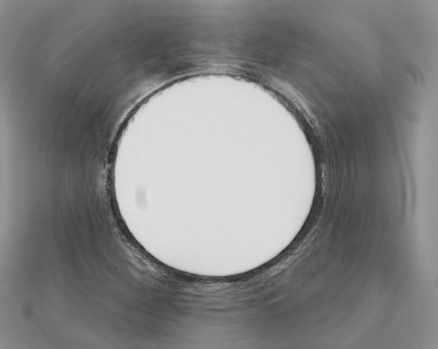 X0000111611260200908281043
