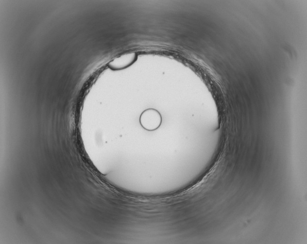 X0000111611261200908281043