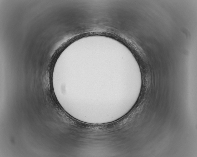 X0000111611262200908281043