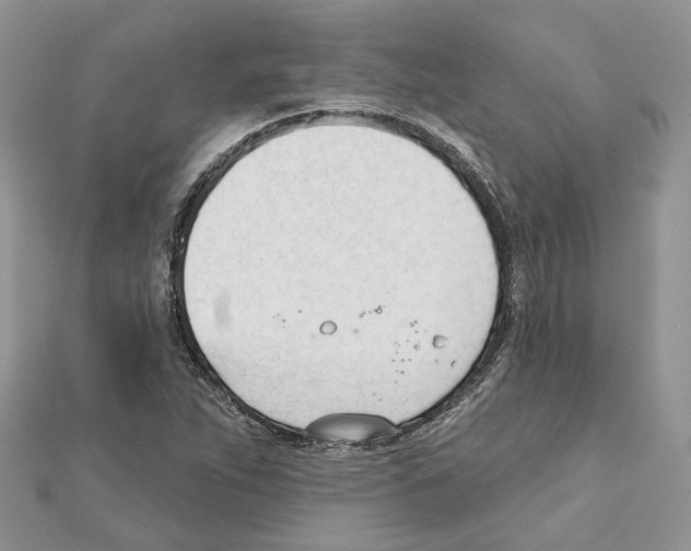 X0000111611263200908281043