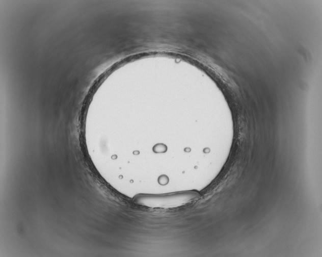 X0000111611264200908281043