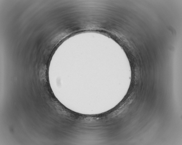 X0000111611265200908281043