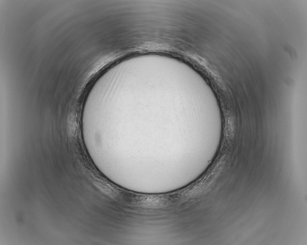 X0000111611266200908281043