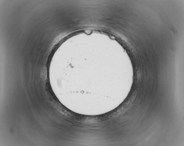 X0000111611267200908281043