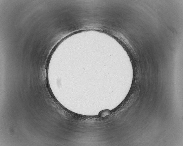 X0000111611268200908281043